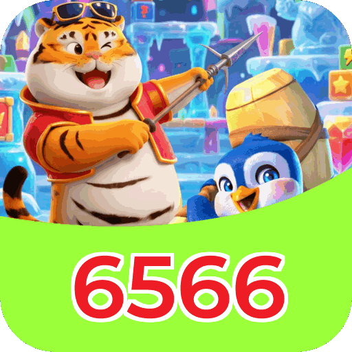 Performance 6566